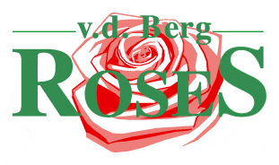 Berg Roses