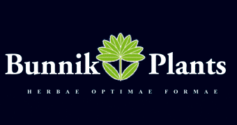 Bunnik Plants